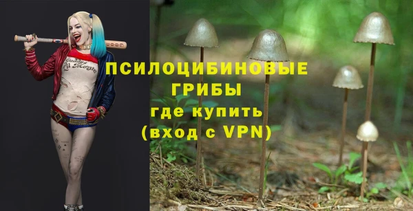 PSILOCYBIN Абдулино