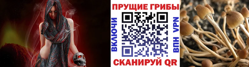 закладки  Азов  Псилоцибиновые грибы ЛСД 